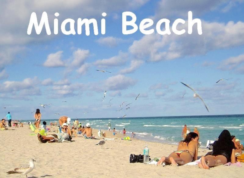 The South Beach Party House - Large Groups - Walk To Everything! Miami Beach Kültér fotó